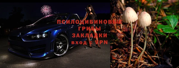 спиды Михайлов