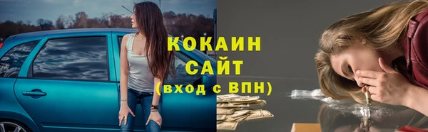 спиды Михайлов