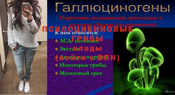 MDMA Premium VHQ Михайловка