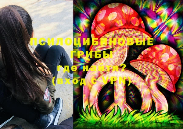 спиды Михайлов