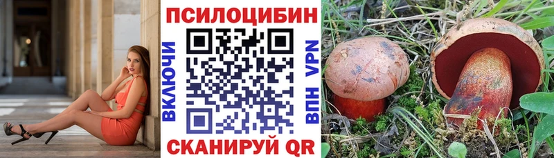 Купить где Заводоуковск Псилоцибиновые грибы мухоморы